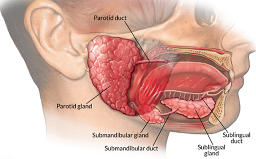 removing-a-submandibular-gland-treatment